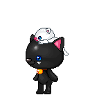 chat noir 4