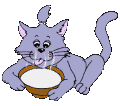 chat nourriture 10