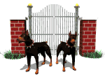 doberman guarding gate md wht