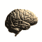cerveau gif 001