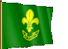 3Boy Scouts sflag