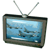 television003
