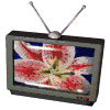 television012