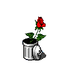 roses025