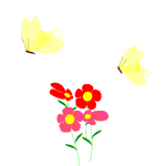 fleurs autre025