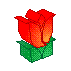 tulipe006