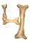 Squelette04
