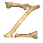 Squelette35