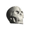 skull001