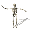 skeleton dancing md wht