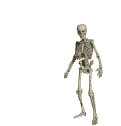 squelette012