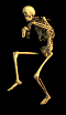 squelette024