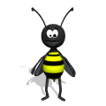 insecte abeille017