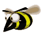 insecte abeille025