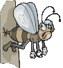 insecte abeille026