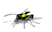 insecte abeille044