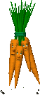 carottes007