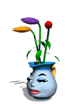 blooming flower jug md wht