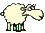 mini moutons b002