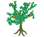 arbres gif 054