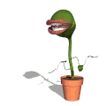 plantes gif 007