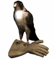 falcon glove md wht