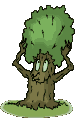 arbre001