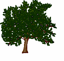 arbre017