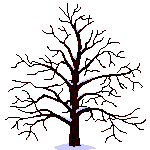 arbre018