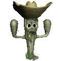 nature cactus008