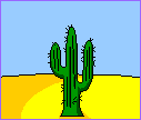 nature cactus015