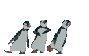 3 pingouins danse