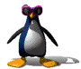 penguin danse