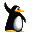 pingouin bouge