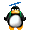 pingouin helice