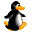 Pingouin02