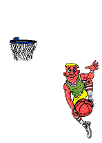 sport basket02