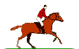 equitation011