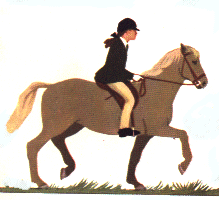 equitation020