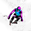 sport ski14
