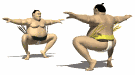 sport sumo02