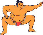 sport sumo06