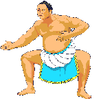 sport sumo07
