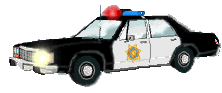 voiture police 74