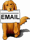 email animaux019