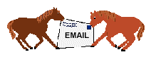email animaux043