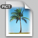 File PICT Icon