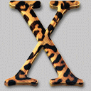 System OS X  Jaguar