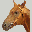 chevaux icone 017