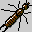 insecte icone 017